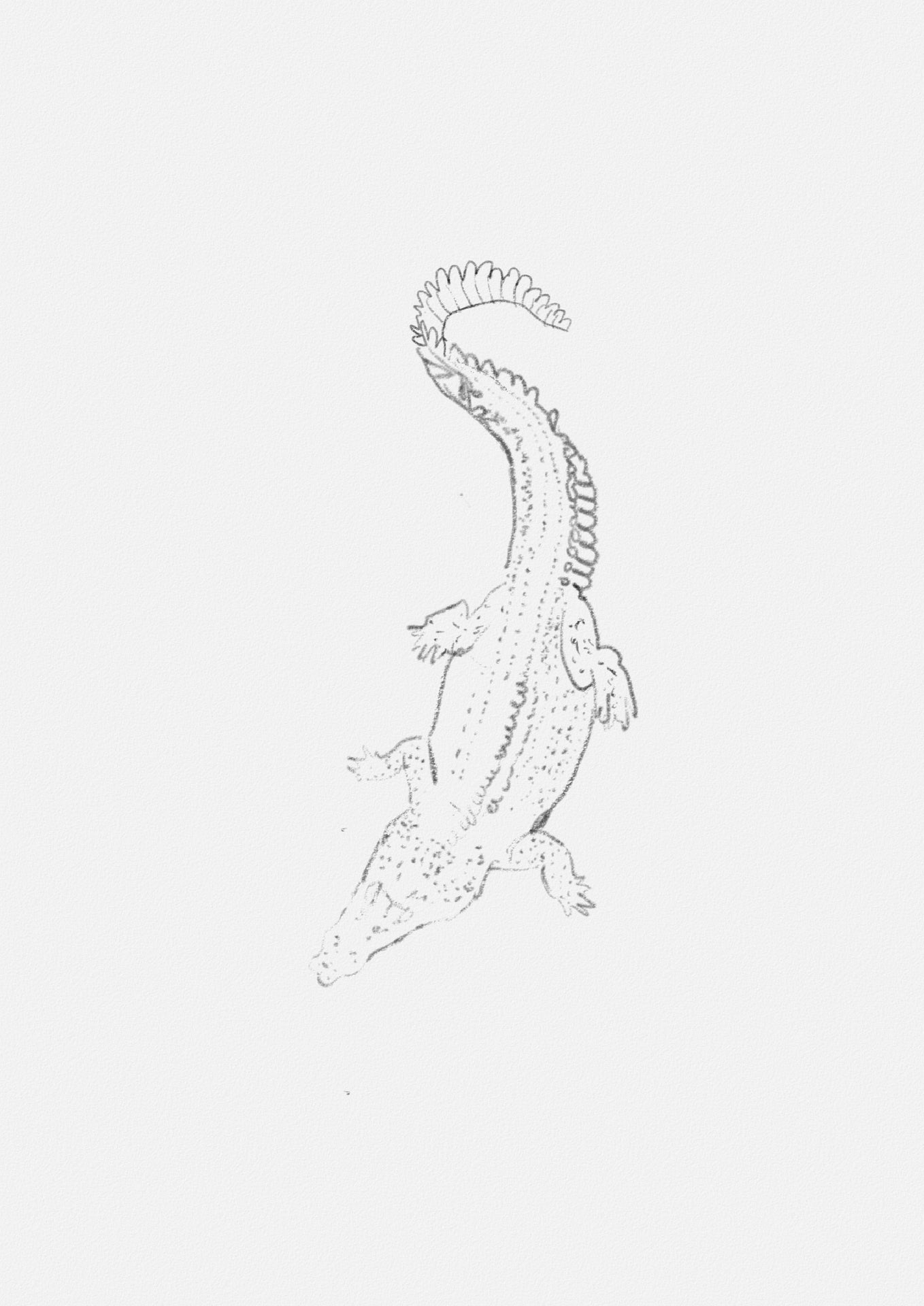 Gator print